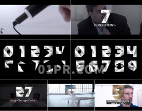 Pr模板多边形数字