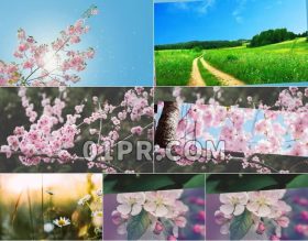Pr特效框架转场