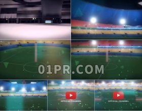 Pr模板3D Stadium Logo (PP)