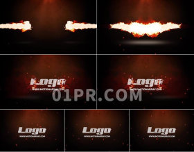 Pr模板Burnable Logo