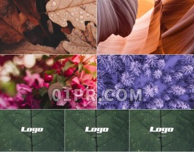 Pr模板LOGO照片片头