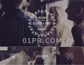 Pr婚礼故障标题模板