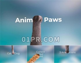 Pr爪子文字转场模板 13组小猫狗狗腿动物推拉文字标题过渡 Pr素材