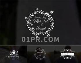 Pr字幕模板 11组优雅爱情婚礼动画文字标题排版 Pr素材