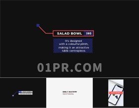 Pr标题素材包 排版标题呼出标题竖屏标题简洁时尚
