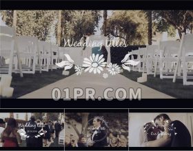 Pr森系婚礼字幕模板 12组4K华丽优雅动画文字婚庆标题 Pr模板字幕