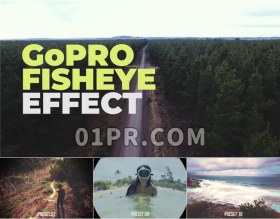 Pr效果预设 10组镜头鱼眼扭曲模糊RGB分离GoPro相机效果预设 Pr素