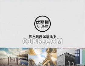 Pr笔刷照片Logo模板 图片绘画油墨标志演绎Logo Pr素材