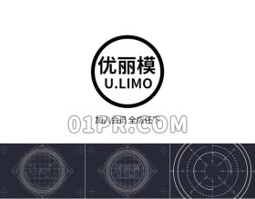 Pr绘画蓝图Logo模板 几何绘制建筑标志演绎 Pr素材Logo