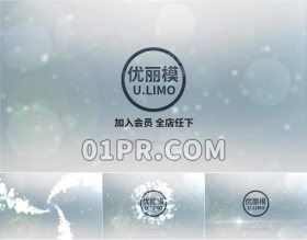 Pr优雅粒子Logo模板 华丽轨迹镜头耀斑标志演绎 Pr素材