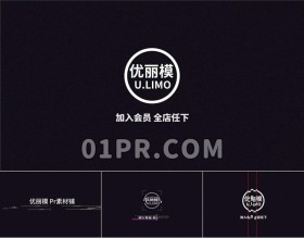 Pr输出故障Logo模板 快速数字化现代化扭曲电流标志演绎 Pr素材