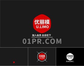 Pr跳动六边形Logo模板 简洁图形标志演绎Logo Pr素材