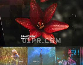 Pr电影粒子幻灯片模板 15层75秒优雅华丽视差恢宏 Pr模板片头