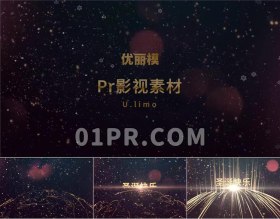 Pr圣诞节祝福片头模板 12秒黄金闪光粒子新年 Pr模板片头