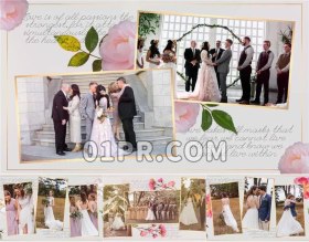 Pr模板相册 22张60秒金色优雅爱情婚礼回忆生日纪念 Pr电子相册模