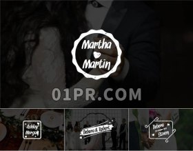 Pr字幕模板 12组优雅简约情人爱情婚礼文字标题动画微章 Pr素材