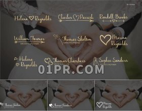 Pr字幕图形预设 9组优雅爱情婚礼人名文字标题字幕条 Pr素材