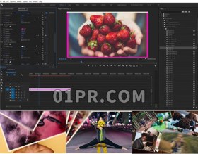 Pr效果预设 100组飘动滑动照片幻灯片生成器 Pr素材