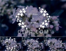 Pr字幕模板 9组花卉婚礼华丽优雅美丽周年纪念人名圣洁 Pr素材