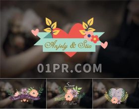 Pr字幕模板 6组浪漫婚礼花环美丽优雅爱情情人节春天标题 Pr素材