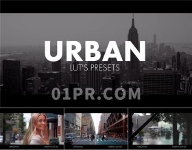LUTs调色预设 10组城市都市街头旅游色彩校正滤镜效果 Pr素材