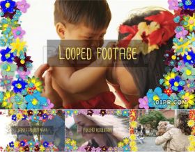 4组彩色花卉动画边框 PR/AE/FCPX视频素材