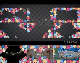 6组春天动画花朵花卉边框背景 PR/AE/FCPX视频素材