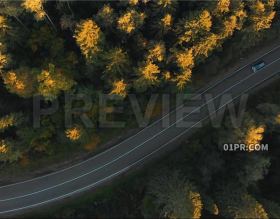 航拍汽车通过穿过树林森林道路公路积雪 PR/AE/FCPX视频素材