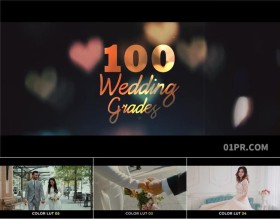 LUTS调色预设4K 100组婚礼色彩滤镜 PR素材