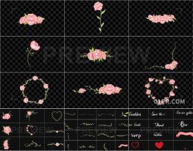 视频素材 50组手绘水彩花卉婚礼动画元素