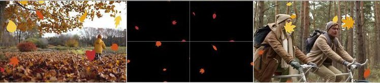 Pr预设 叶子飘落特效