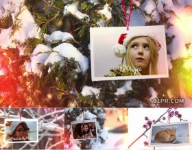 AE模板 圣诞树悬挂照片圣诞节幻灯片 19张66秒