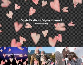视频素材4K心形爱心纸张透明遮罩循环情人节 支持PR AE FCPX
