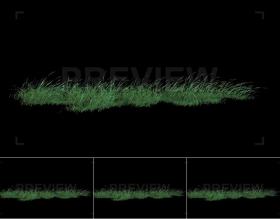 视频素材4K 小草绿色草地微风轻摇摆动遮罩 支持PR AE FCPX