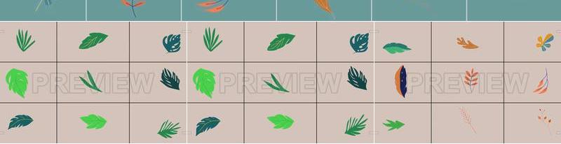 视频素材 手绘植物叶子