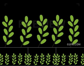 视频素材4K 绿色植物叶子透明背景风吹摇晃 支持PR AE FCPX
