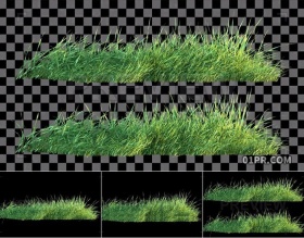 视频素材4K 绿色草地在风中摇曳摇晃透明 支持PR AE FCPX