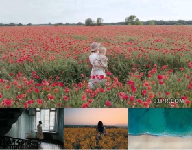 FCPX转场插件 10组简单快节奏过渡